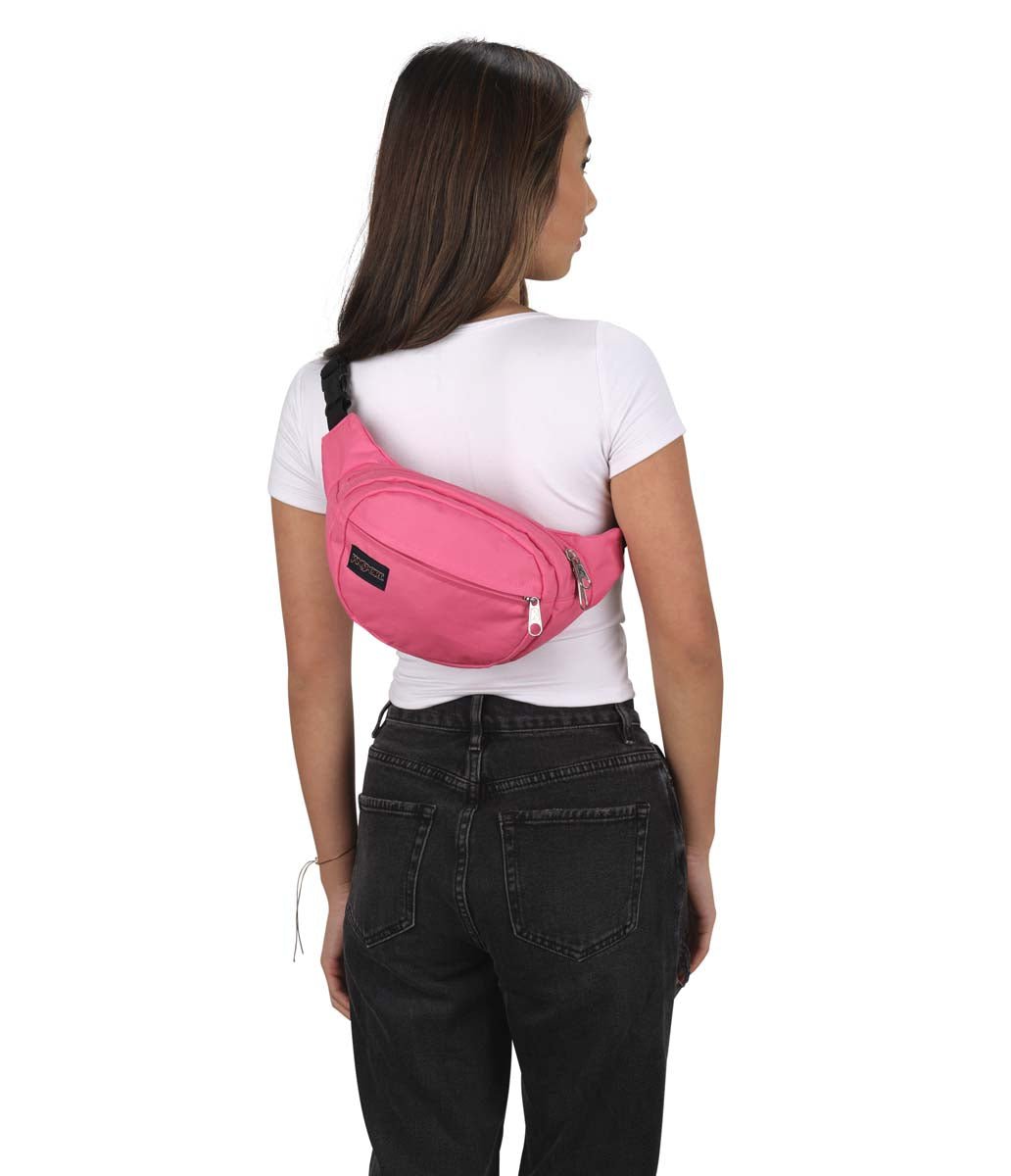 CINTURERA - FIFTH AVENUE - Mochilas JanSport - JS00TAN1 - EX2